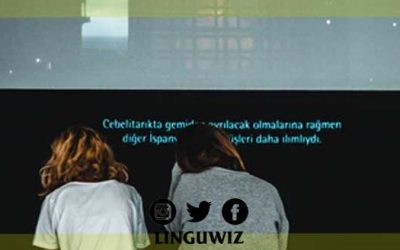 The Process of Subtitling Strategies