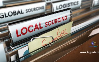Crowd-Sourcing vs Professional Translation: Fun Facts!